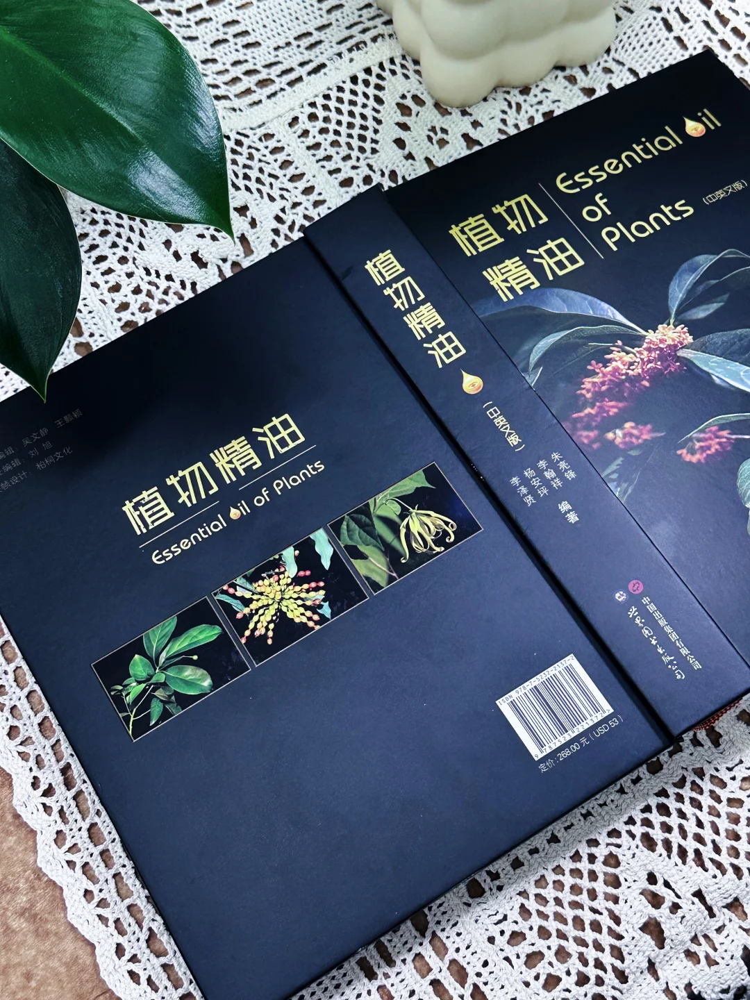 🔥新书推荐|《植物精油（中英文版）》