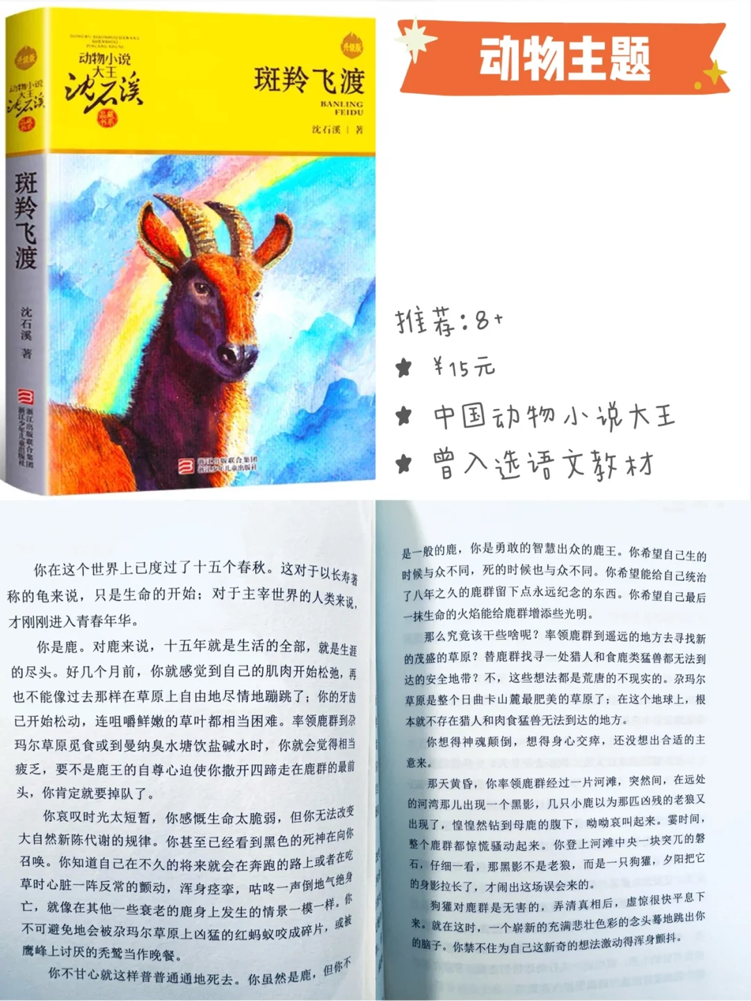 8-12岁｜小学生书单 散文 名著 获奖作品