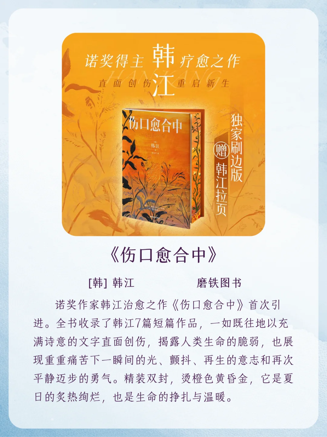 清凉夏日书单来啦🍃每一本都是超超超治愈