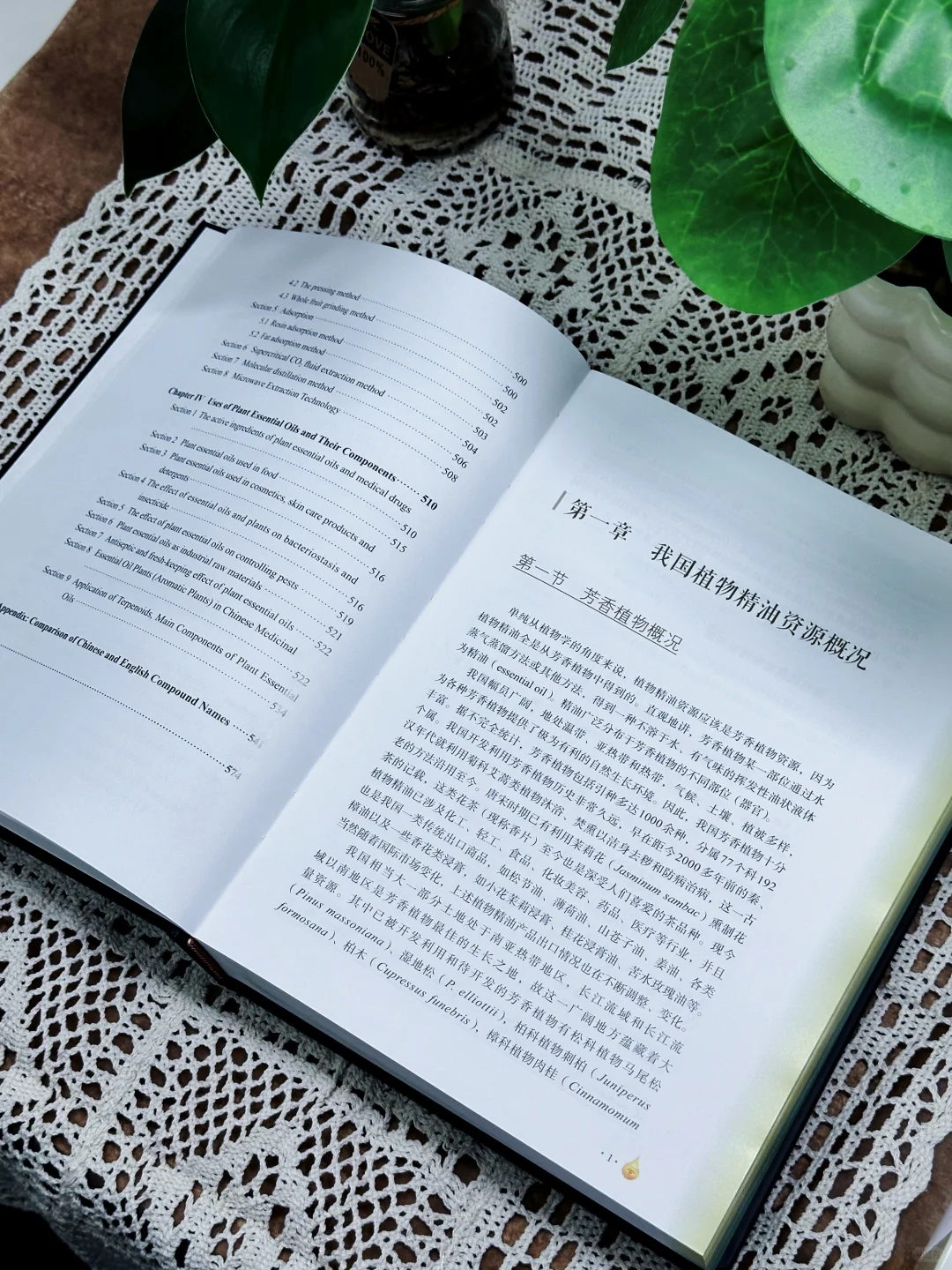 🔥新书推荐|《植物精油（中英文版）》