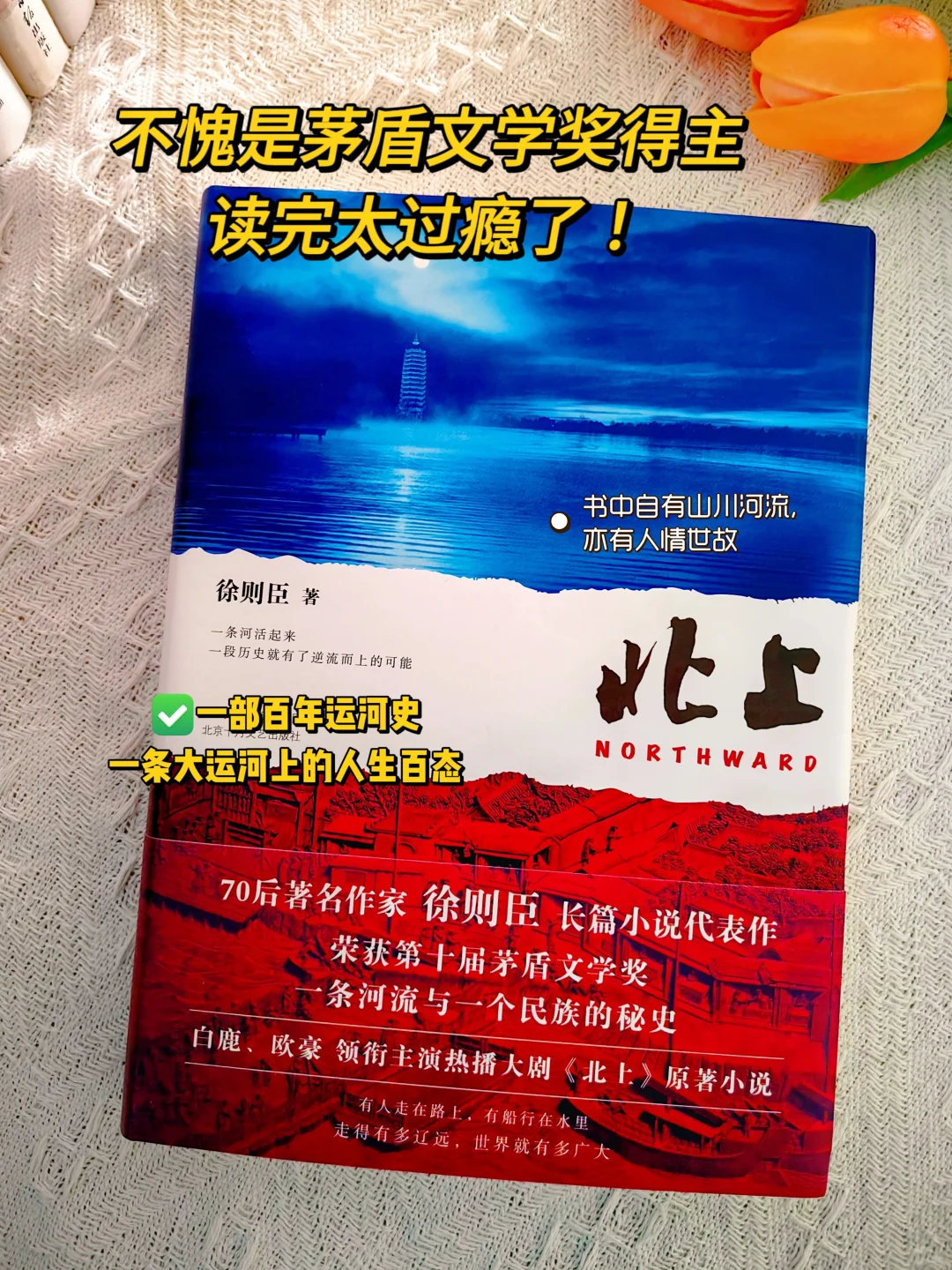 不愧是茅盾文学奖获奖作品，读得太过瘾了！