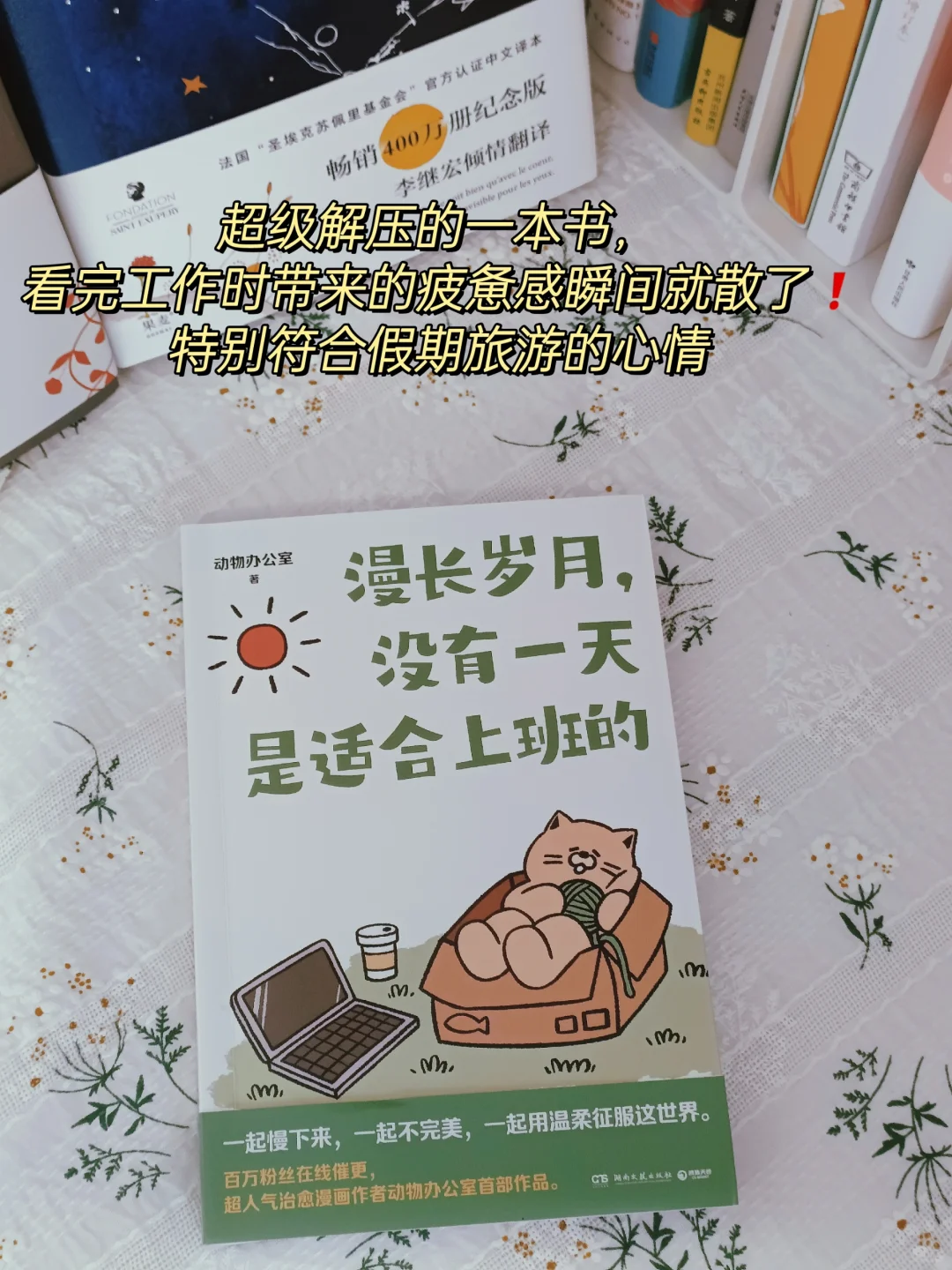 太绝了|被朋友疯狂安利的5本高分治愈书单❗