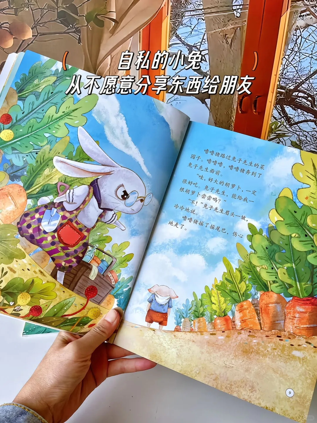 🔥🔥🔥中国作家推荐的绘本故事