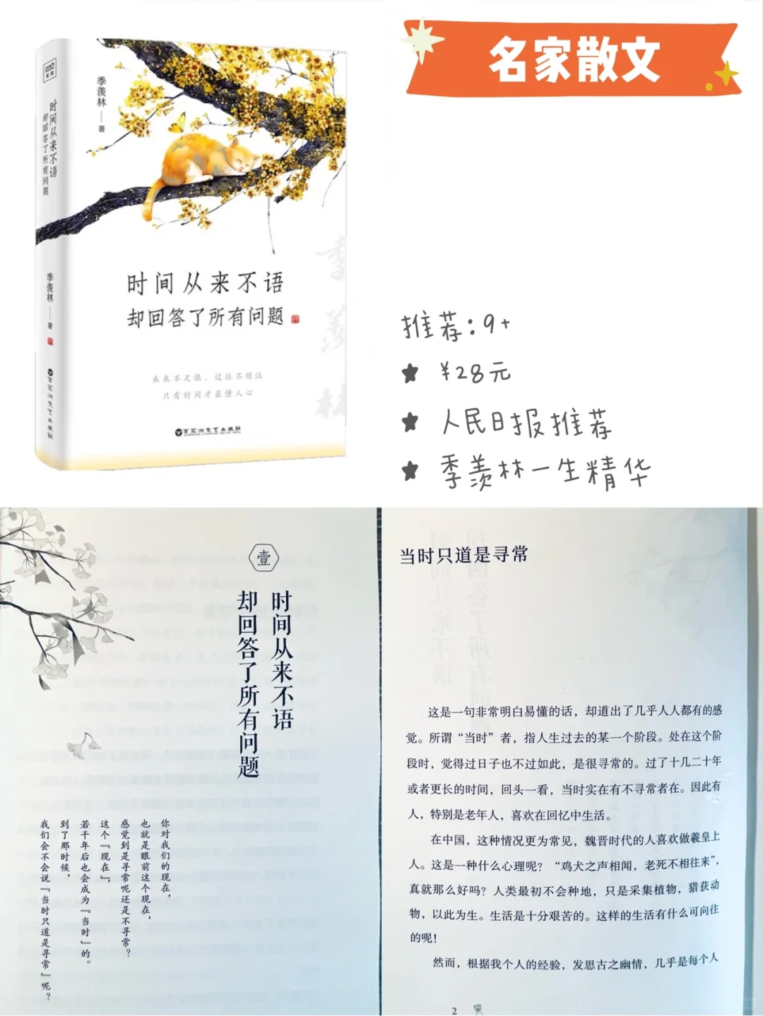 8-12岁｜小学生书单 散文 名著 获奖作品