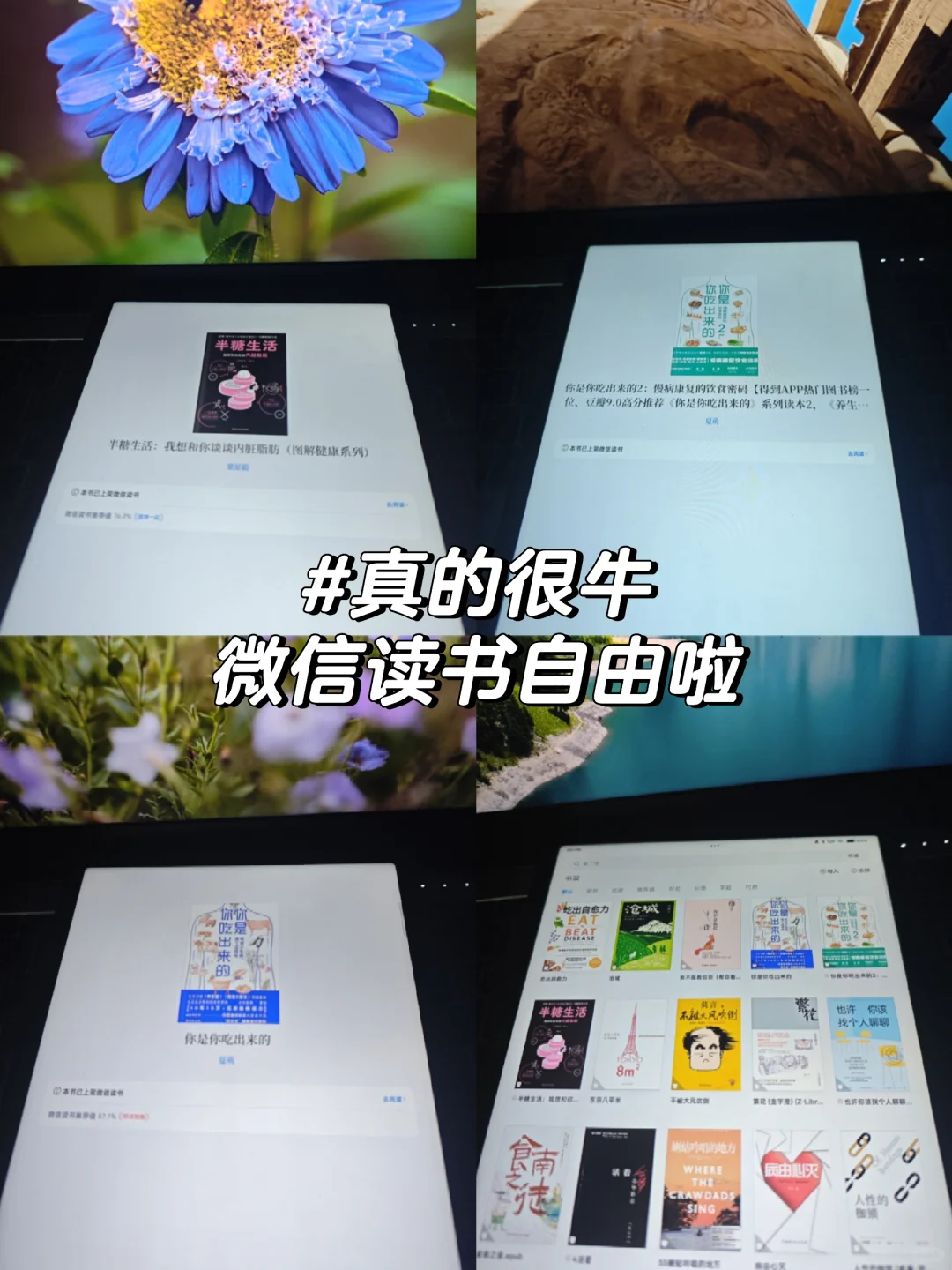 救命！终于找到终结读书APP反复横跳的神器