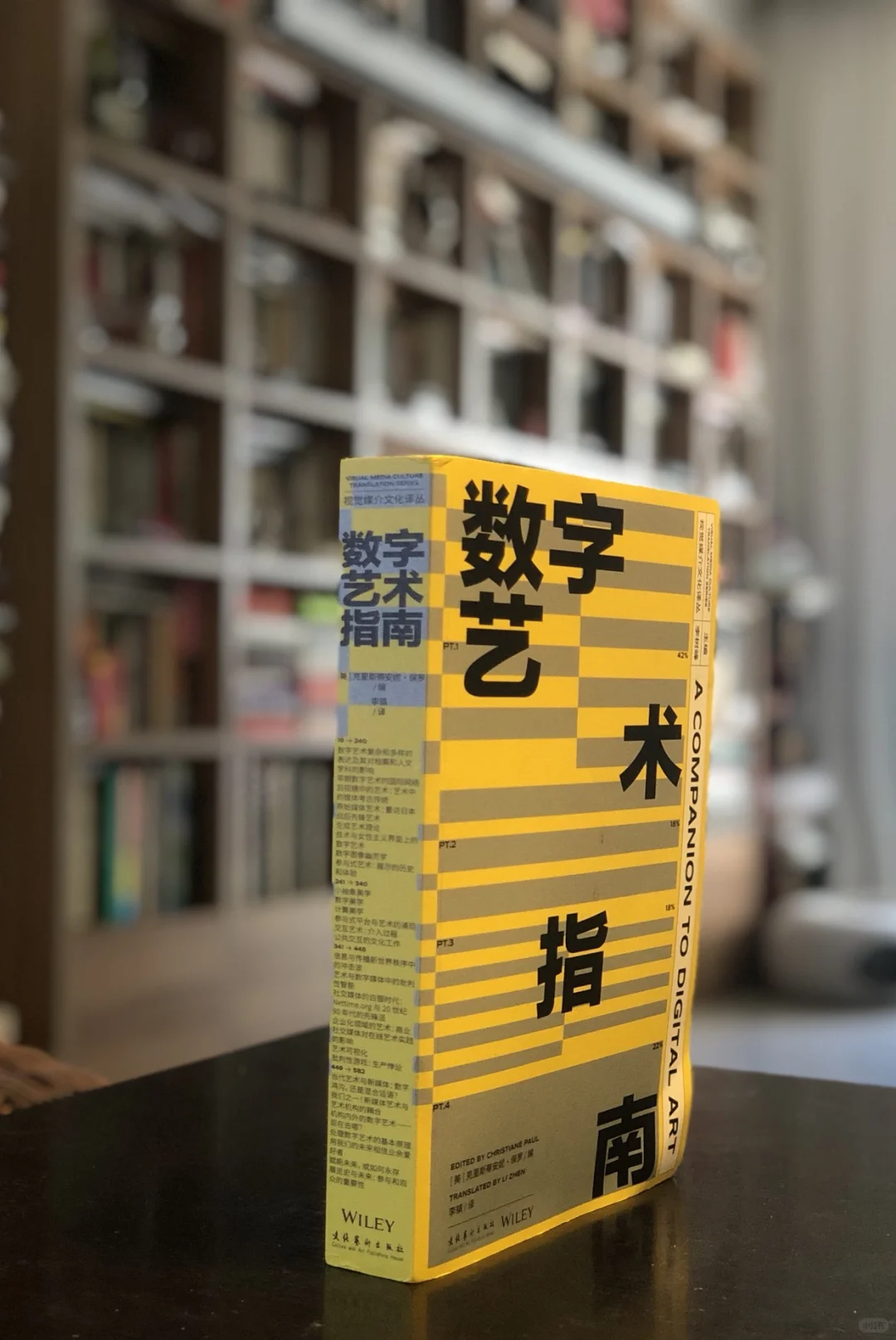 数字艺术指南，李镇译