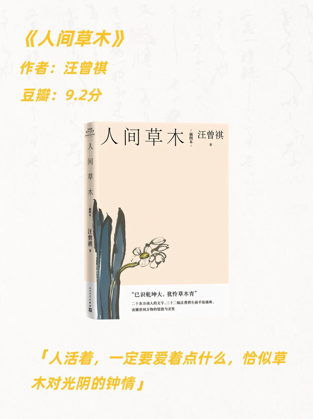 治愈系书单|焦虑内耗的女孩，翻烂这15本书❗️