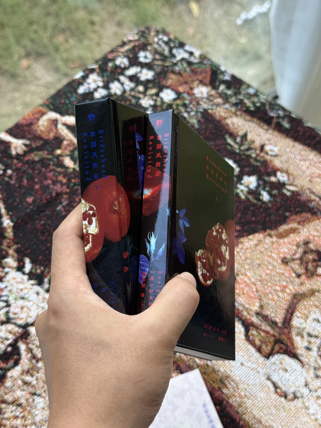英伦版《红楼梦》｜故园风雨后 精装文库本❗️