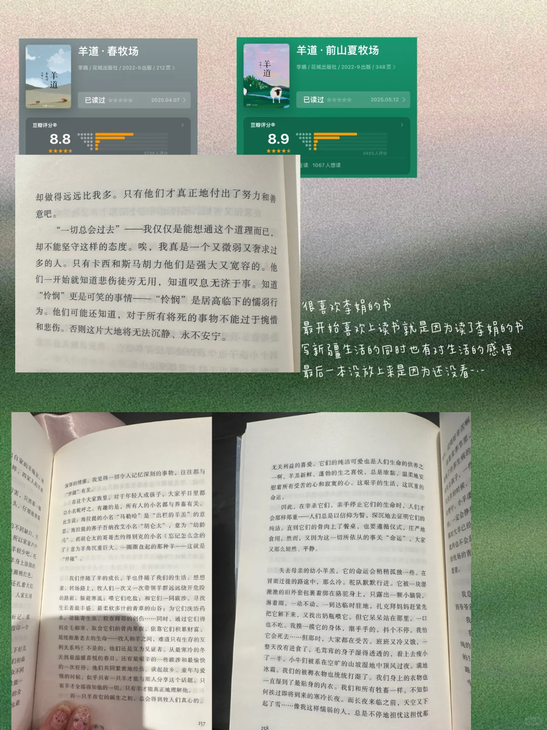 2025上半年看过还想再看的书