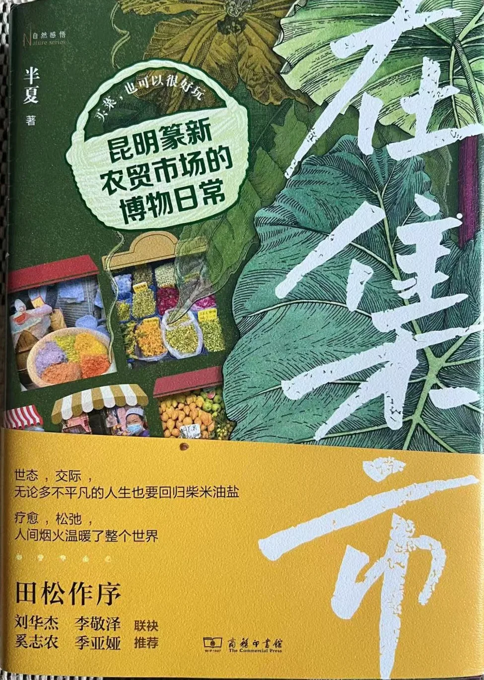 《朝阳日报》“晓杰读书”专栏推荐半夏新书