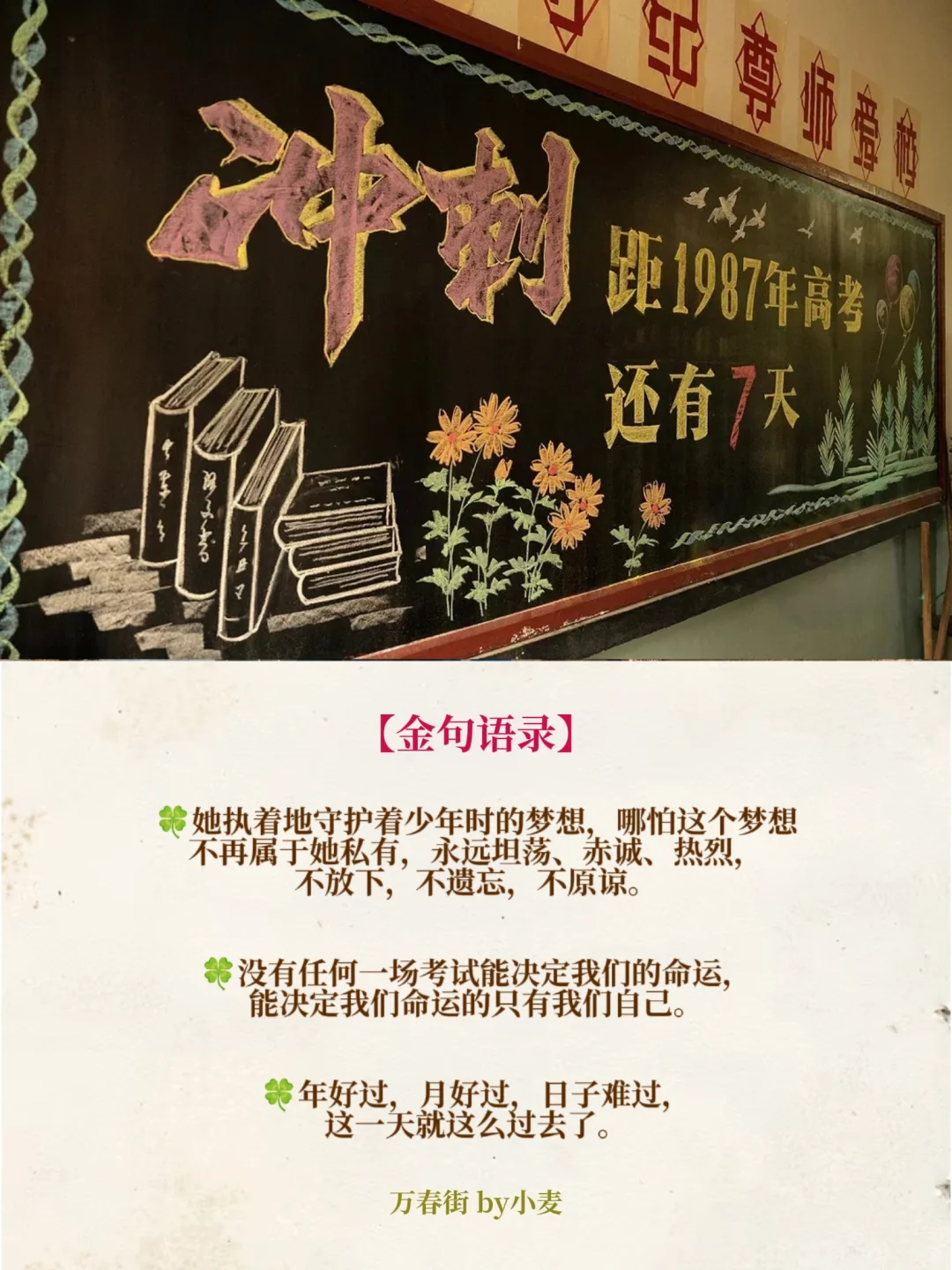 近期完结的年代文TOP‼️上海版小巷人家