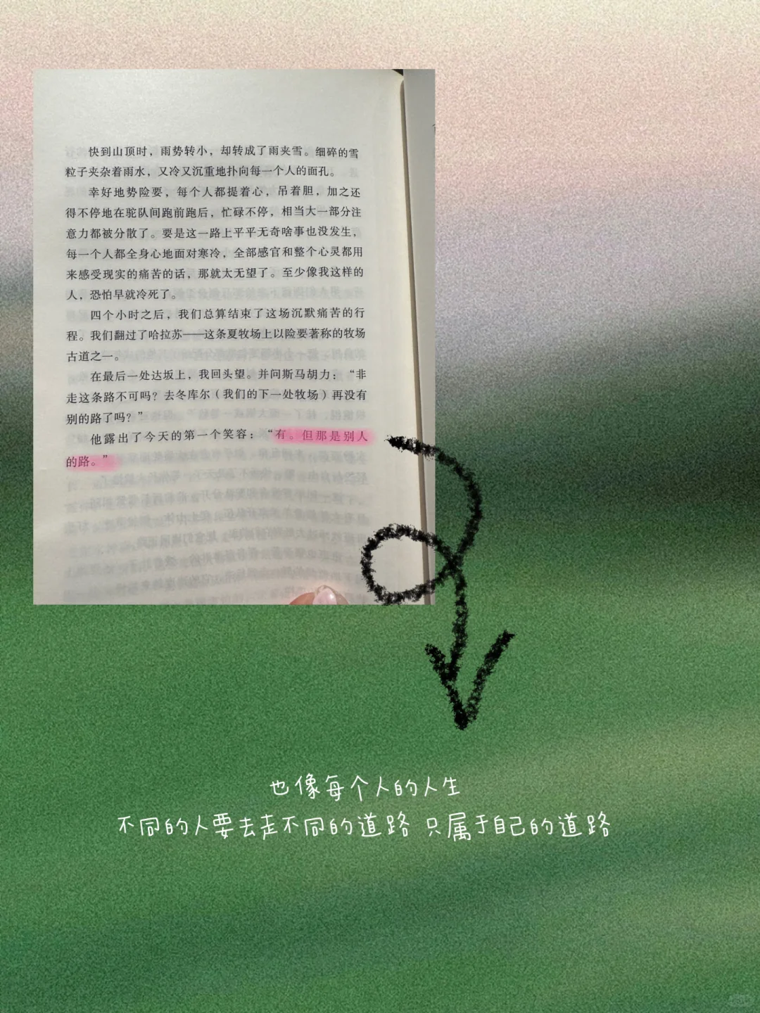 2025上半年看过还想再看的书