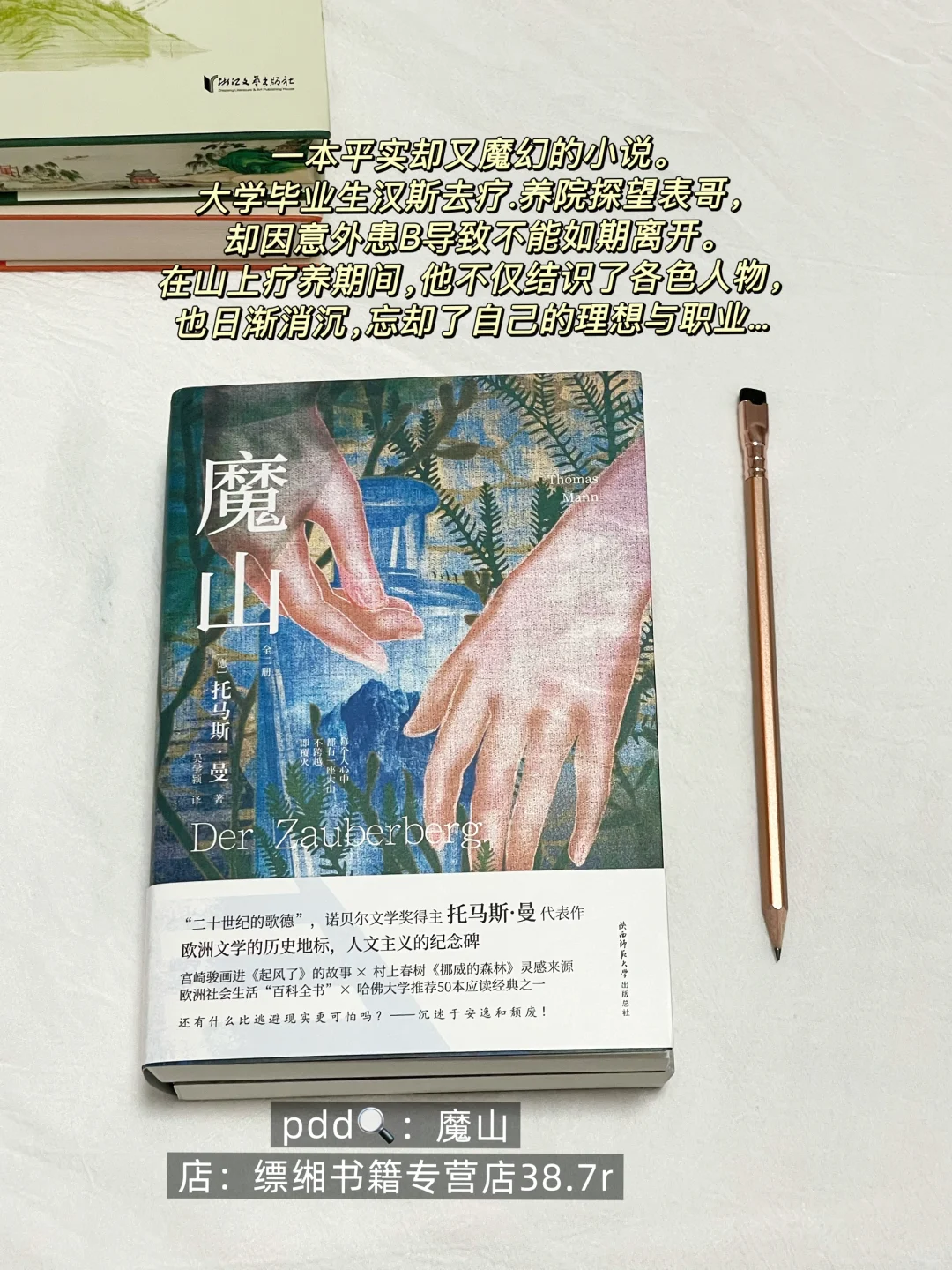 几本巨好看的大部头高分小说！！pdd