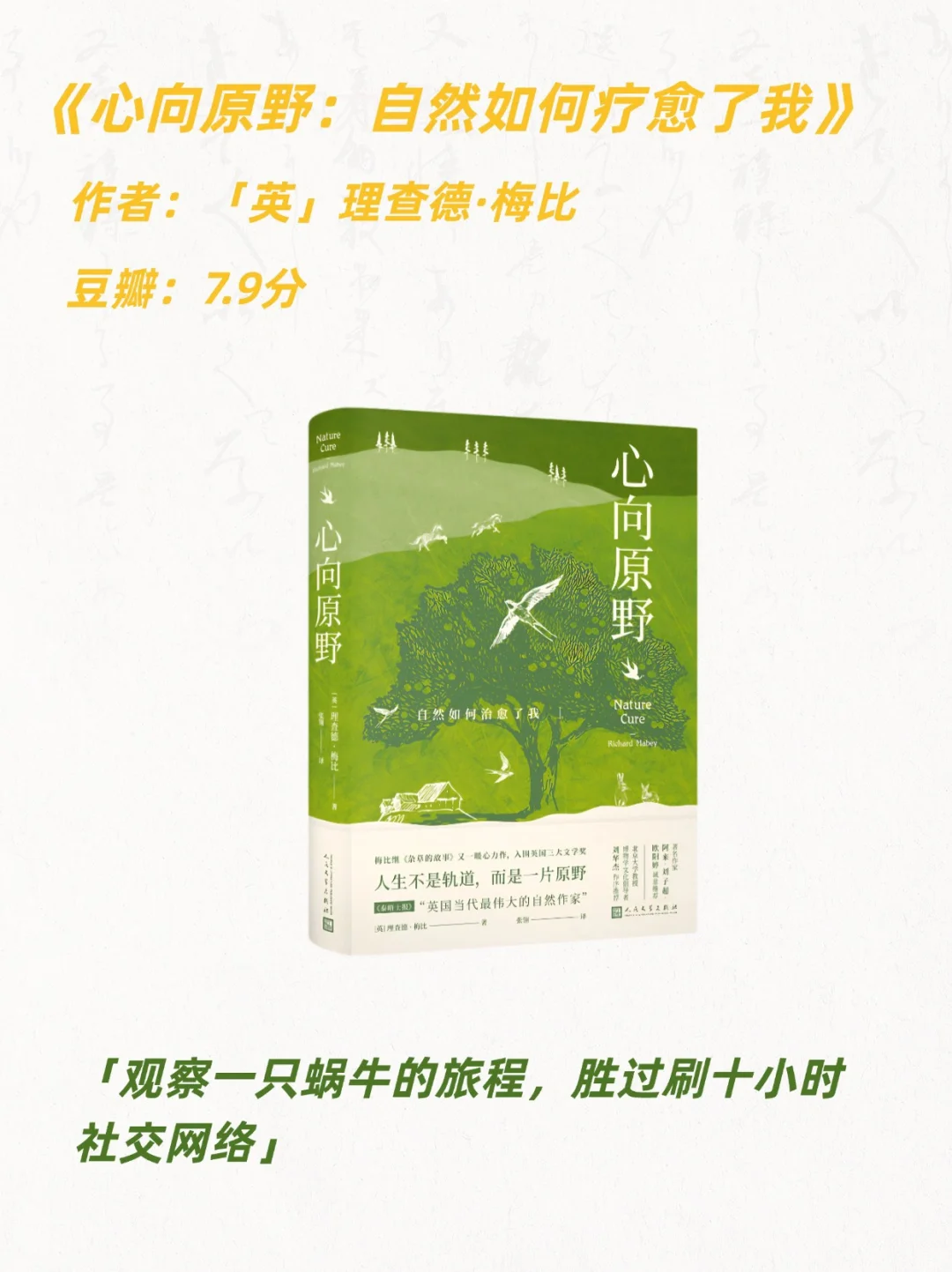 治愈系书单|焦虑内耗的女孩，翻烂这15本书❗️