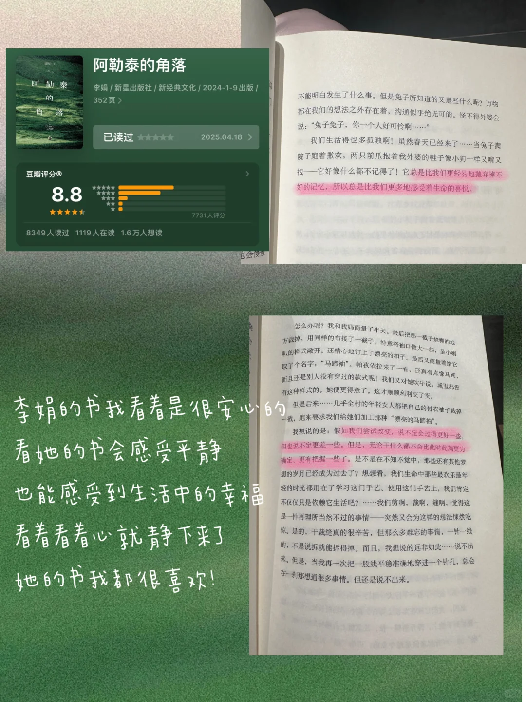 2025上半年看过还想再看的书