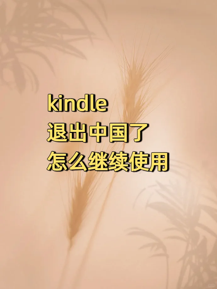 绝了！Kindle 退中后还能这样用！