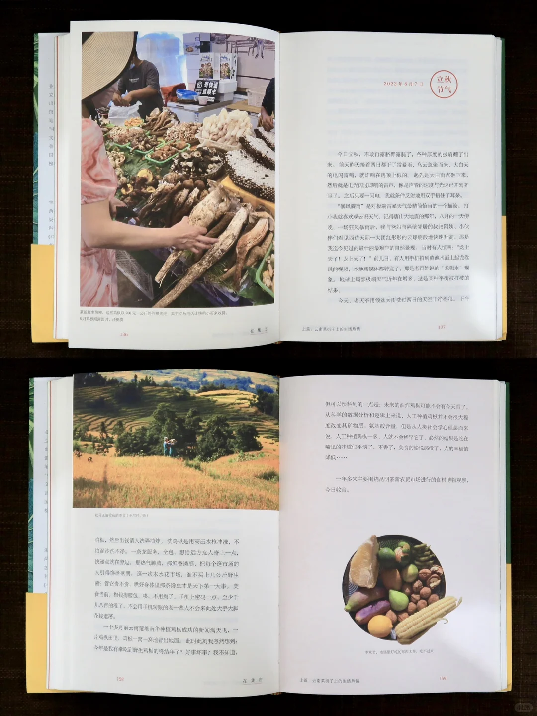 新书推荐《在集市》把云南的菜市场写成书～