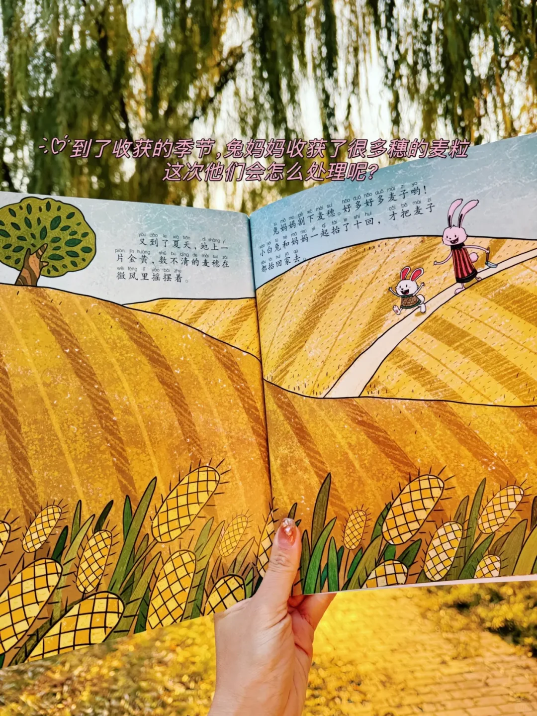 绝了！这套绘本值得推荐给所有的小朋友！