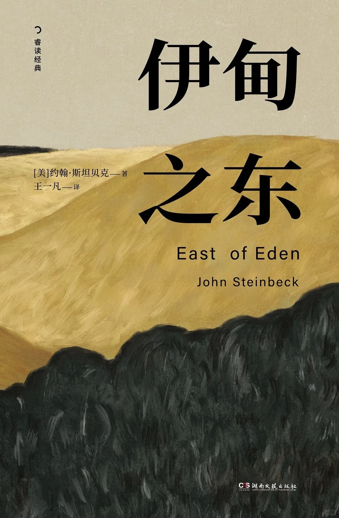 豆瓣评分9.0，冷门文学作品，看完意犹未尽