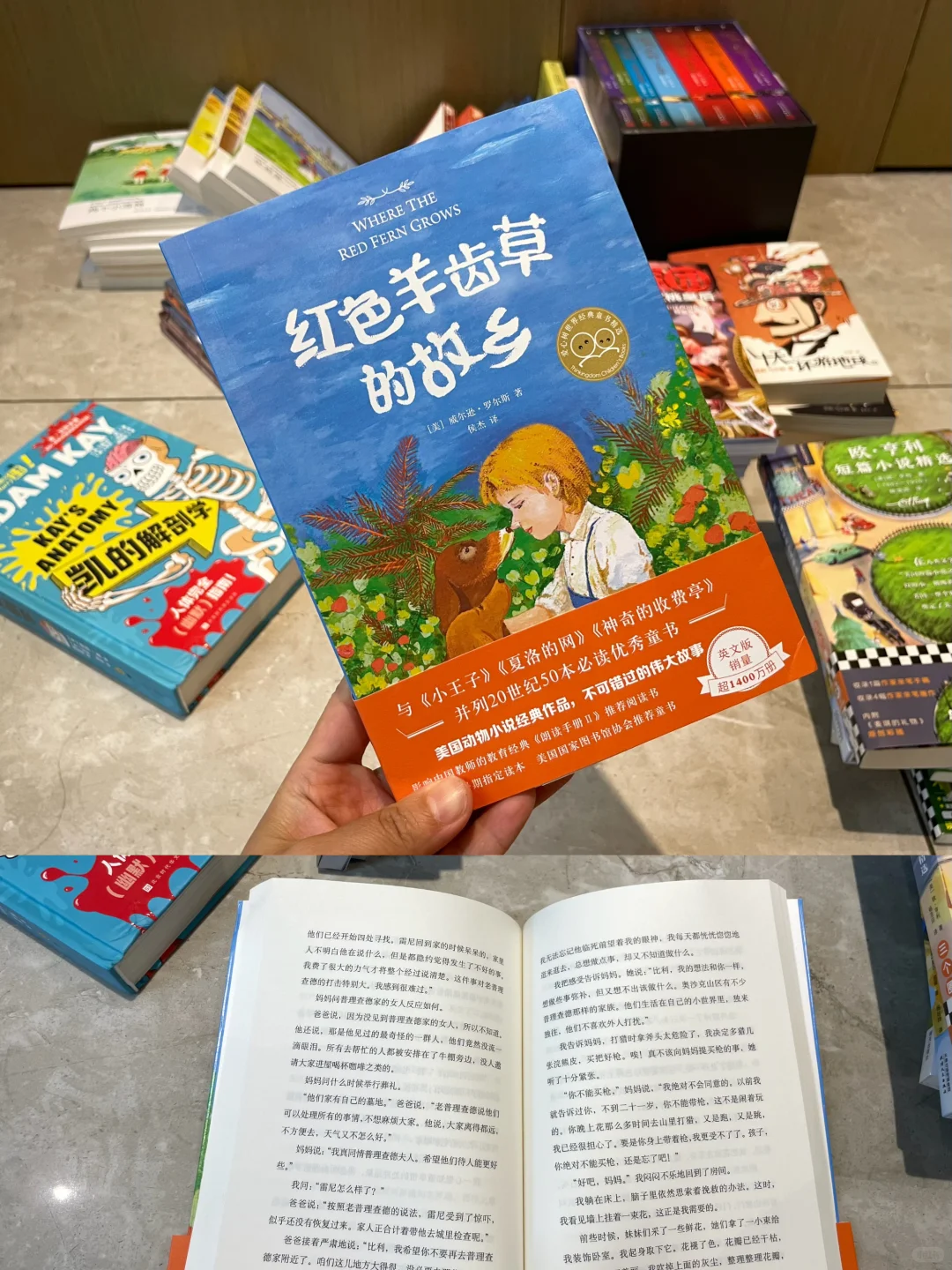 三年级 暑假书单📚