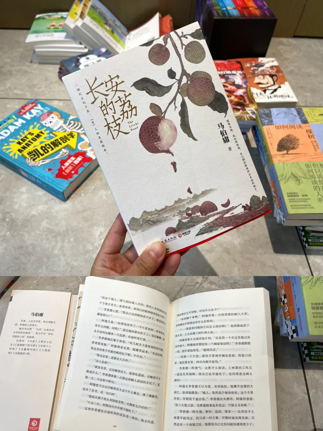 三年级 暑假书单📚