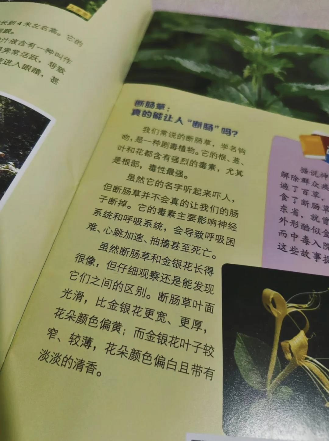 小学生必读‼️《大英百科·少儿探索》
