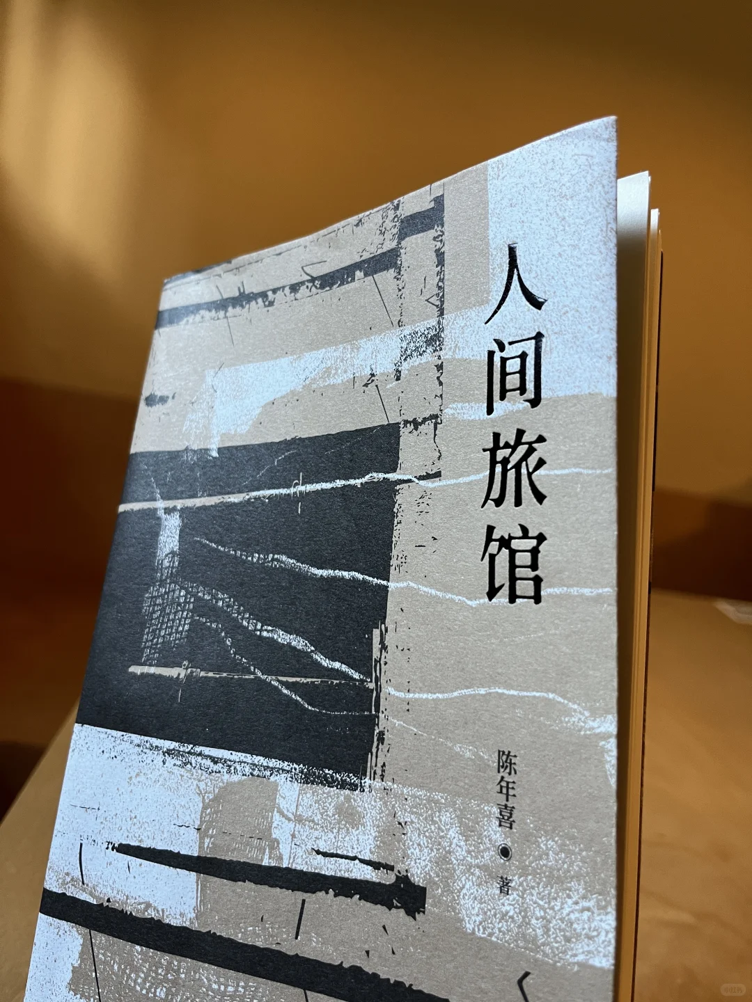 太戳心了‼️陈年喜新书《人间旅馆》不忍看完😭