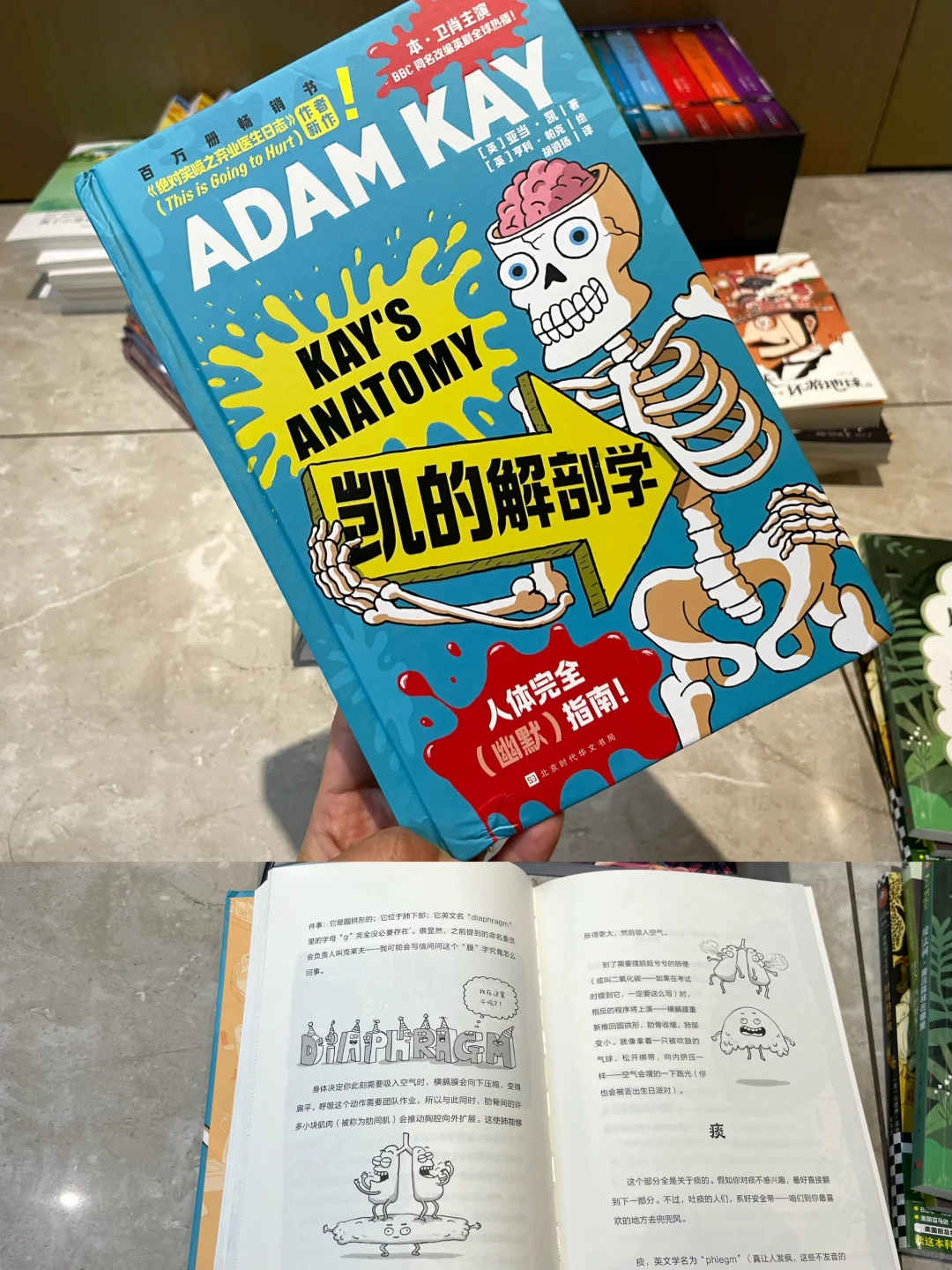 三年级 暑假书单📚