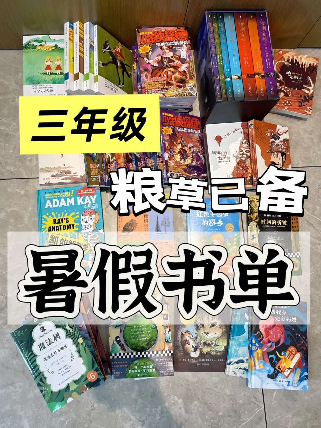 三年级 暑假书单📚
