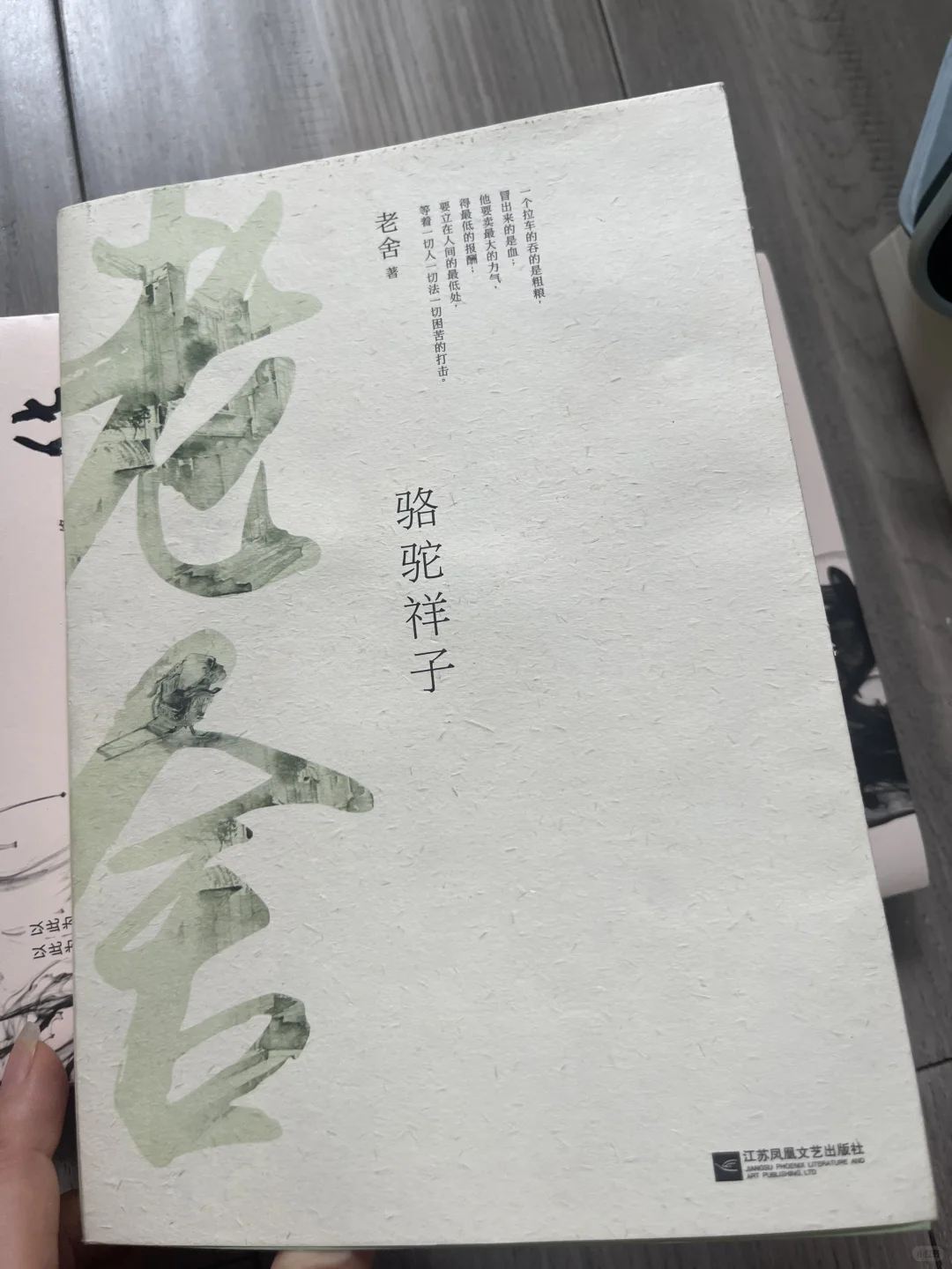 618 ❤️小升初我的囤书清单🧾来了！