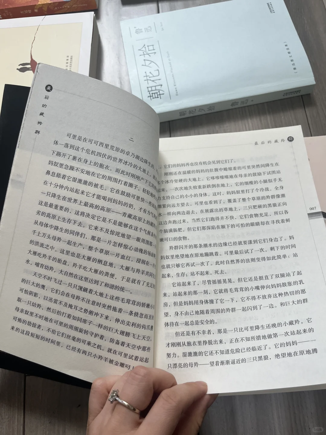 618 ❤️小升初我的囤书清单🧾来了！