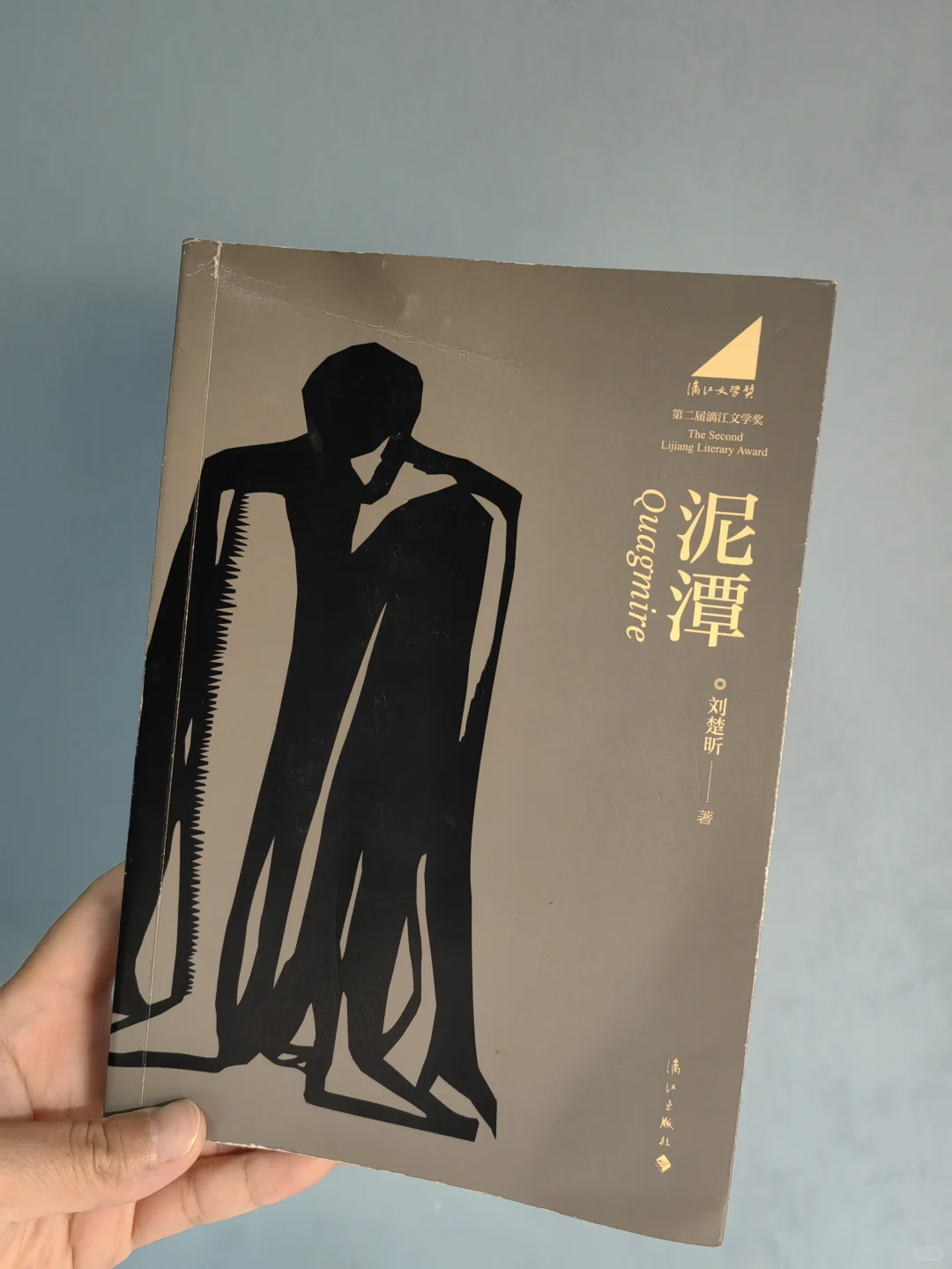 ❗️被获奖感言🔪哭才读的神作《泥潭》