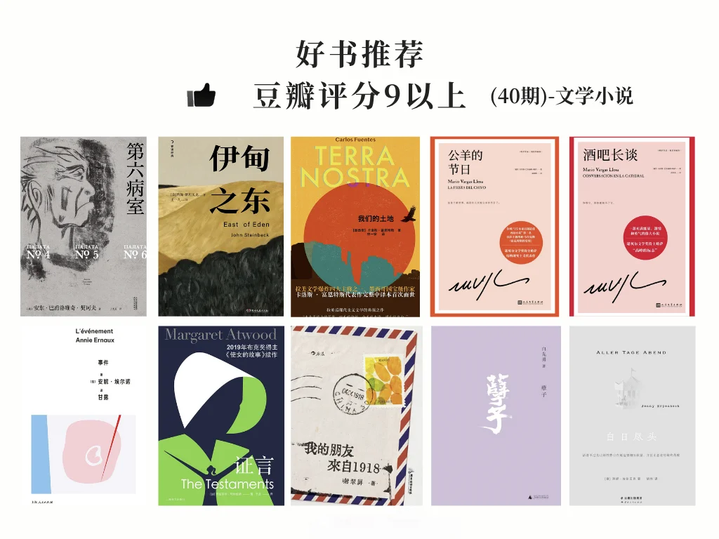 豆瓣评分9.0，冷门文学作品，看完意犹未尽