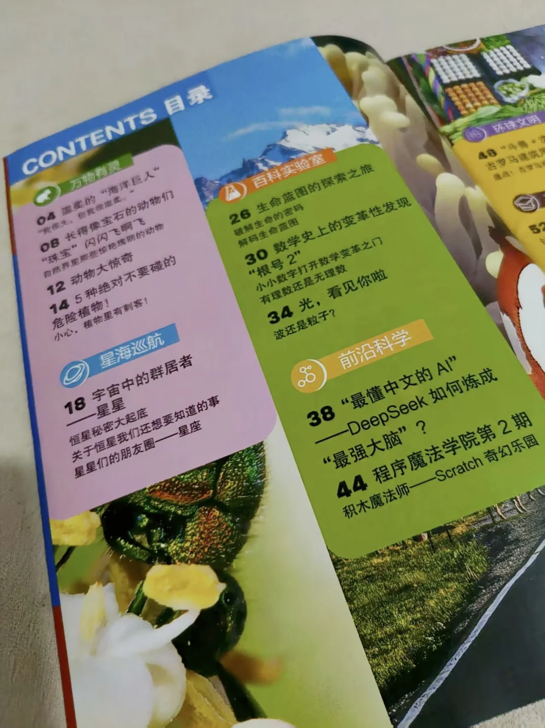 小学生必读‼️《大英百科·少儿探索》