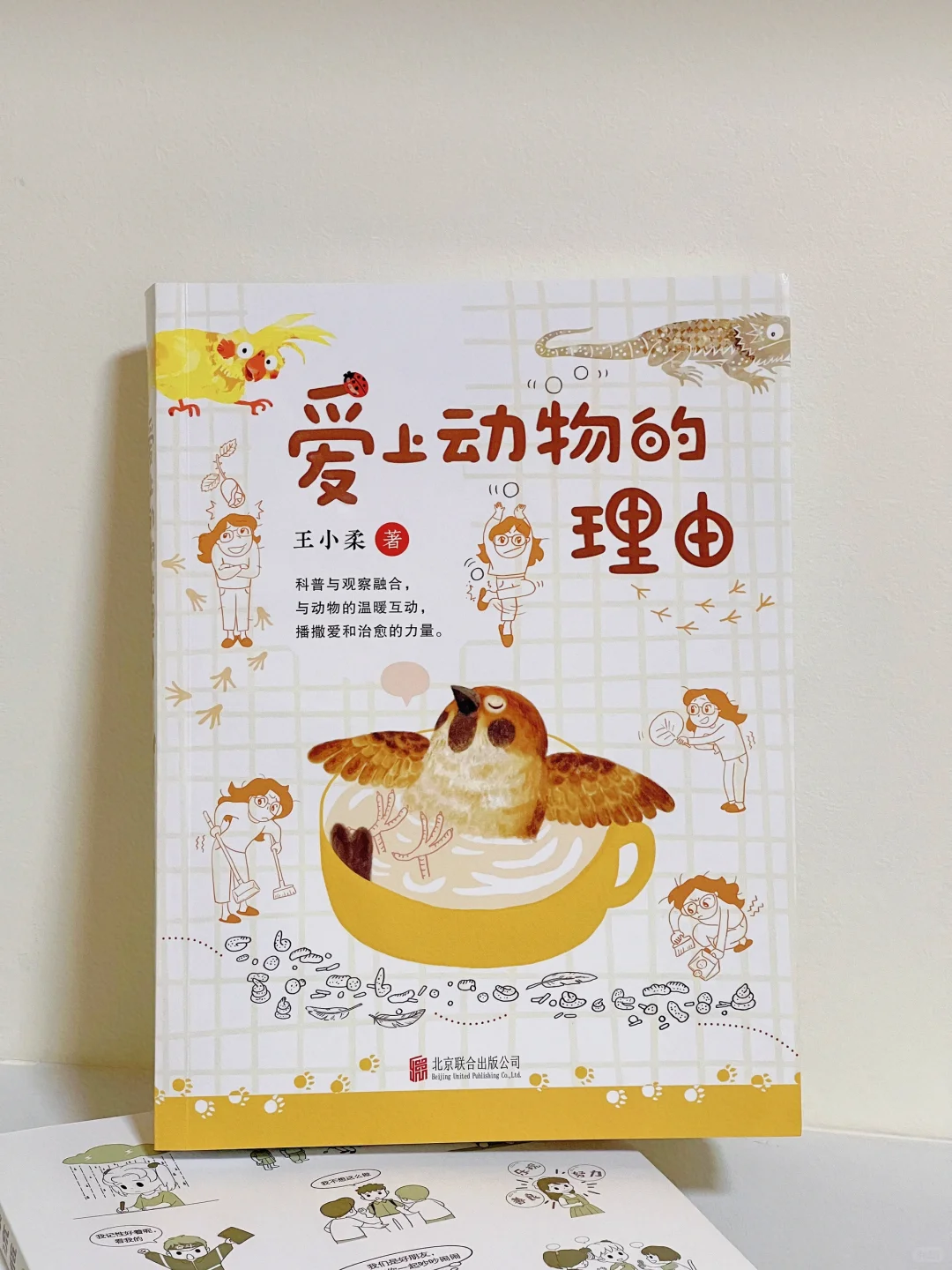 如果我有女儿，这是我推荐给她的第一本书📖