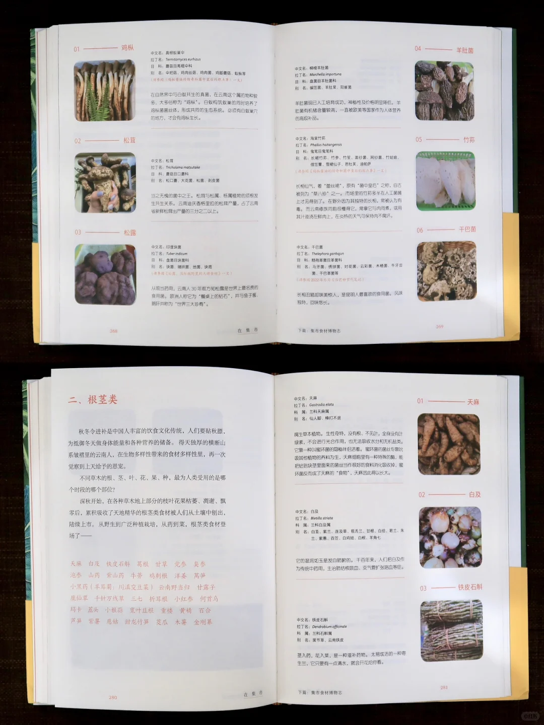 新书推荐《在集市》把云南的菜市场写成书～