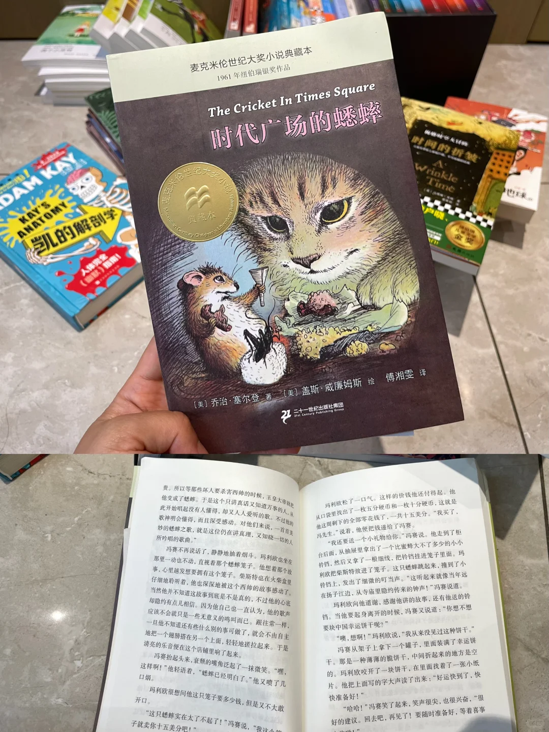 三年级 暑假书单📚