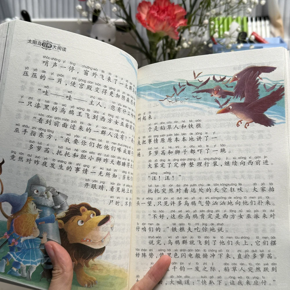 太阳鸟名著💰4.9一本清仓