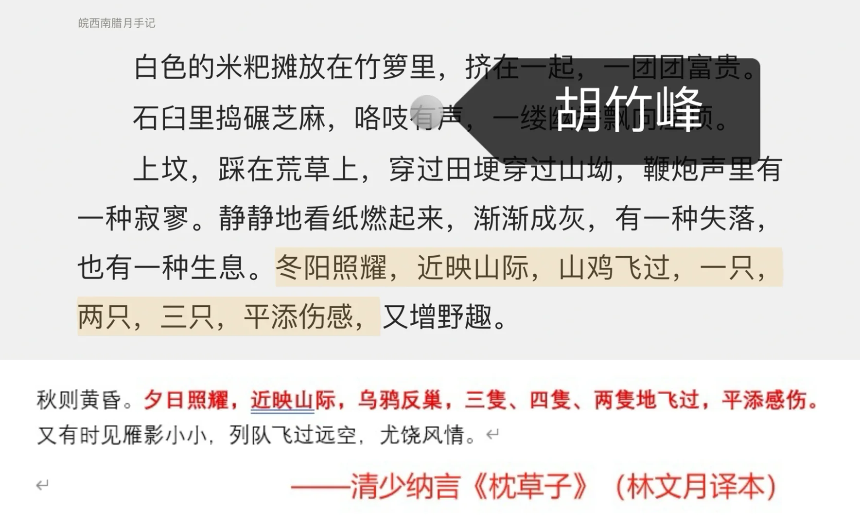 还是太全面了👀