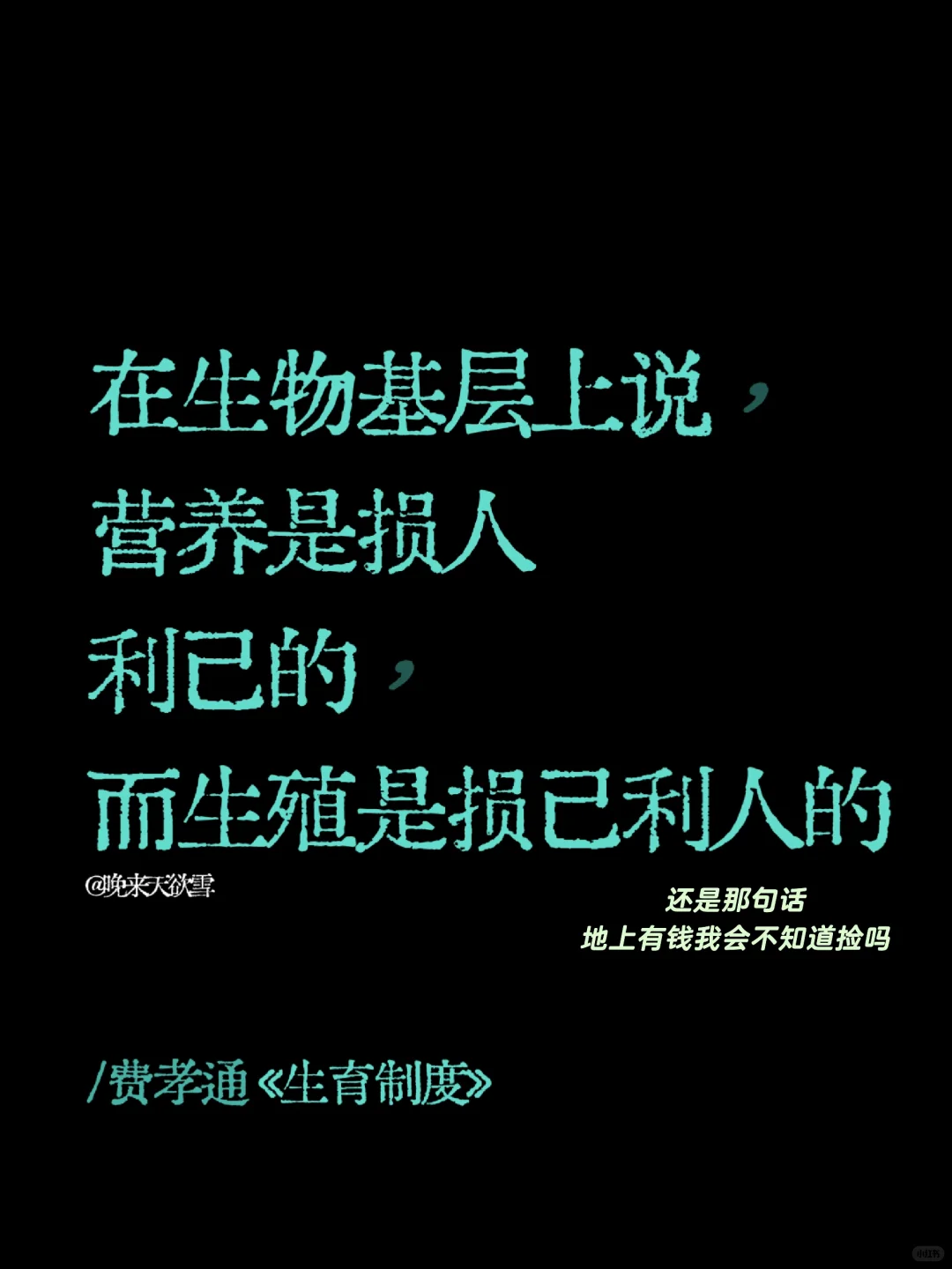 费孝通你有点太超前了……
