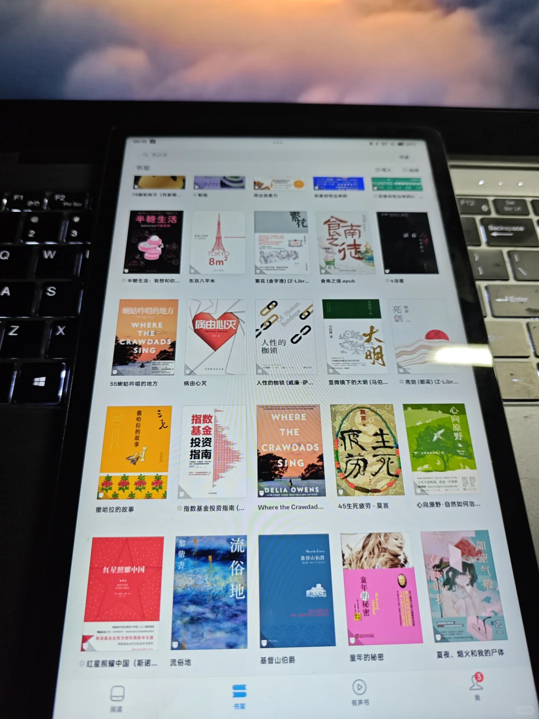 📚 电子书自由！9.9r拿下2500W+正版书