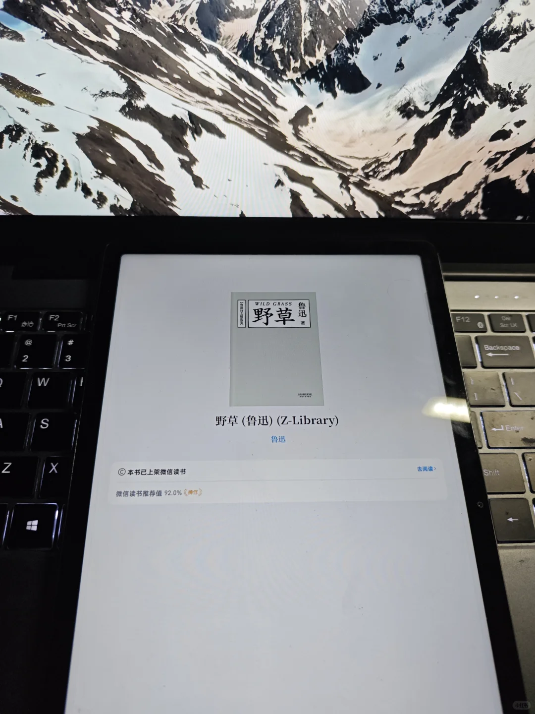 📚 电子书自由！9.9r拿下2500W+正版书
