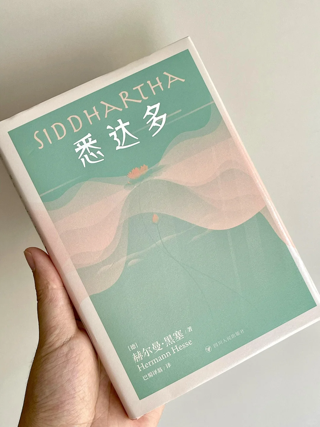 10.9真能治好精神内耗｜因为悉达多的禅意🪷
