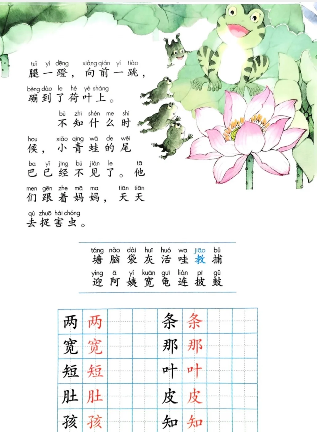 人教版/部编小学语文课本1-6年级