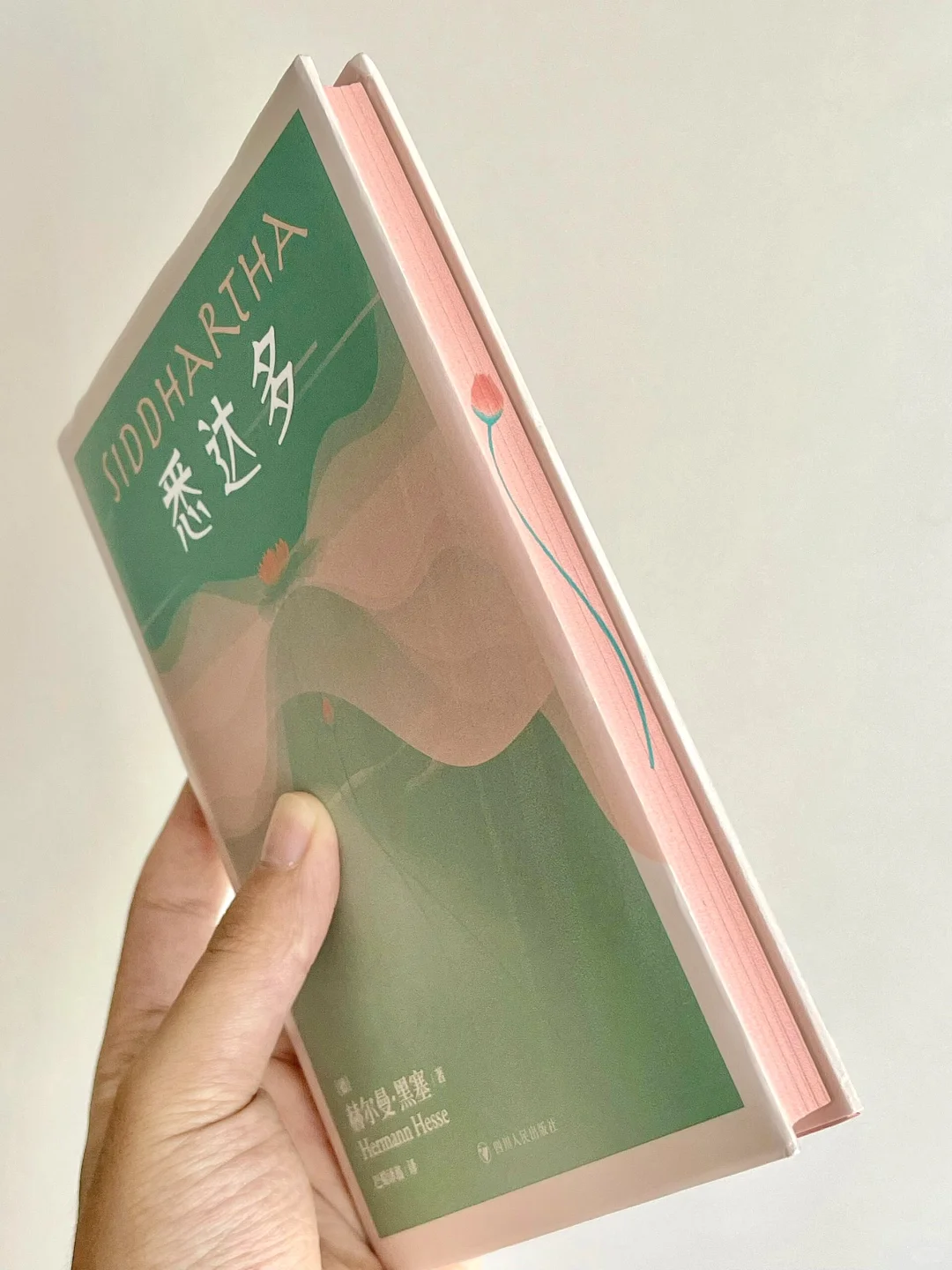 10.9真能治好精神内耗｜因为悉达多的禅意🪷