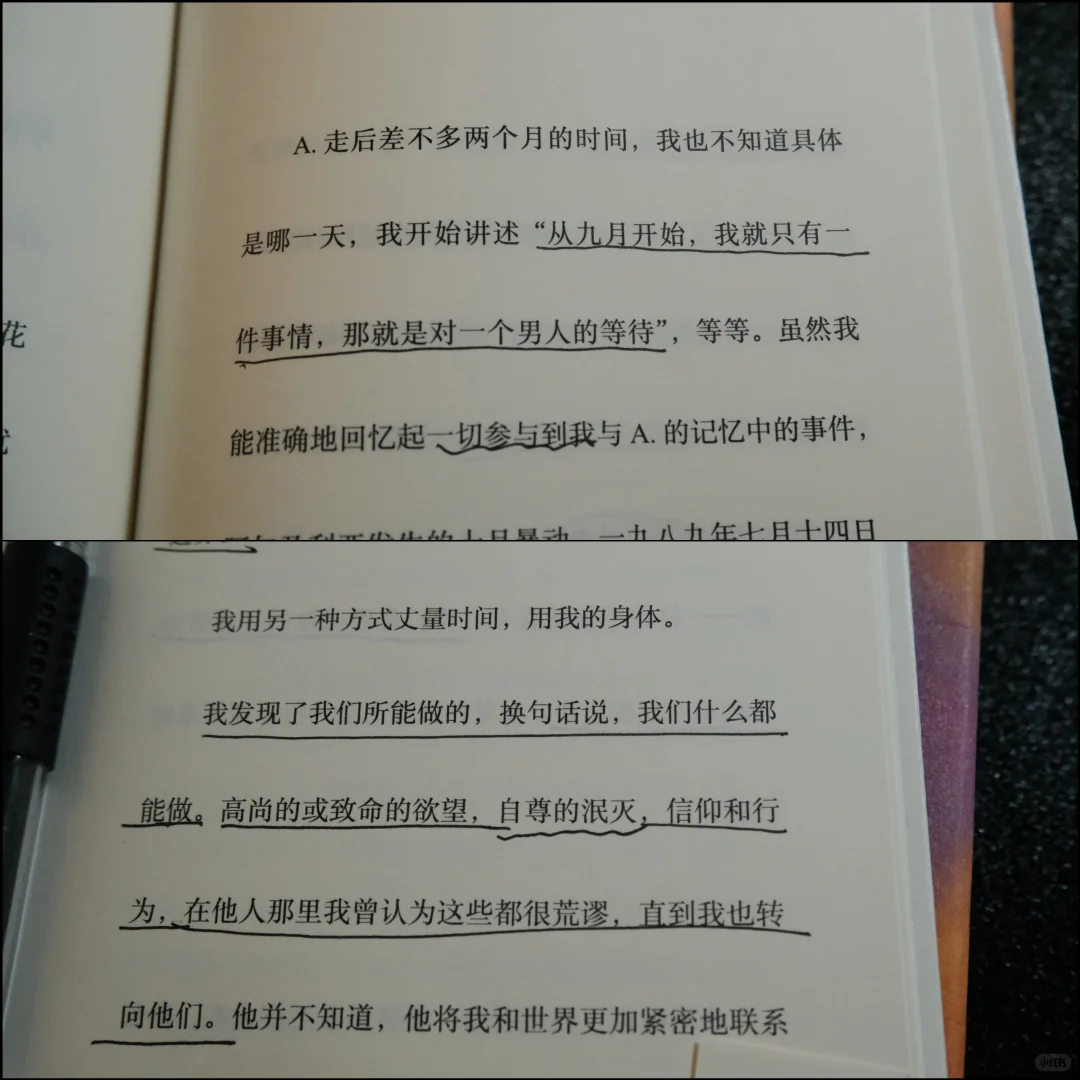 八月地铁书单