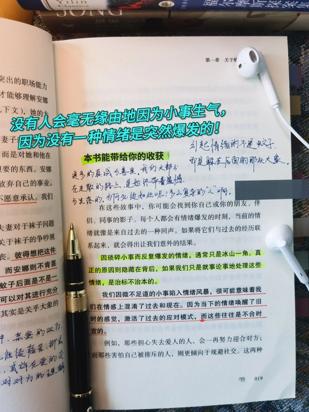 《靠在蝼蚁后面的大象》：一本关于情绪的书