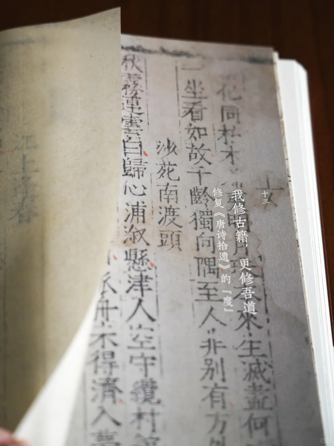 汪帆爆款新作「补书」‼️+超珍稀手工纸样