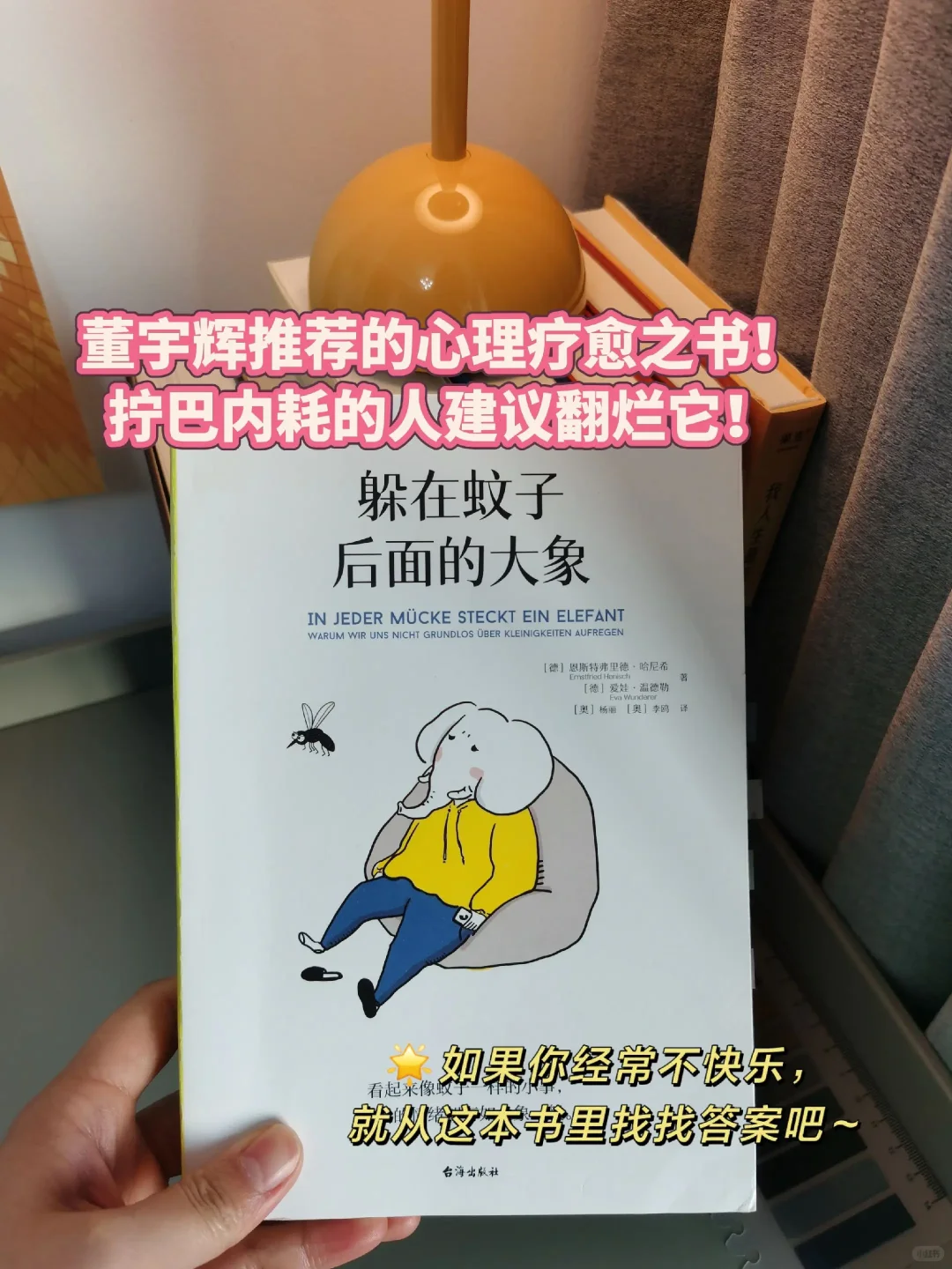 《靠在蝼蚁后面的大象》：一本关于情绪的书