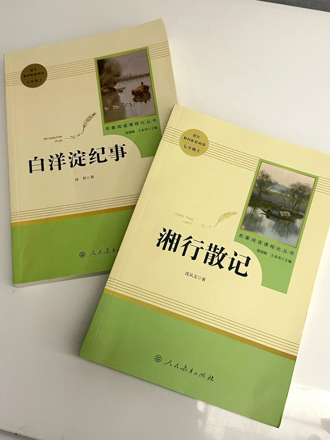 小升初暑假阅读书单8.13
